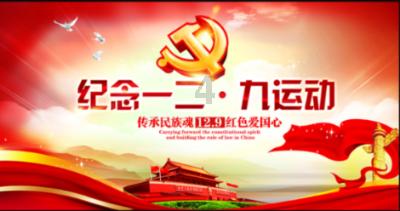 破碎的动物图形2